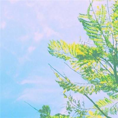 圣斗士战争破解版下载