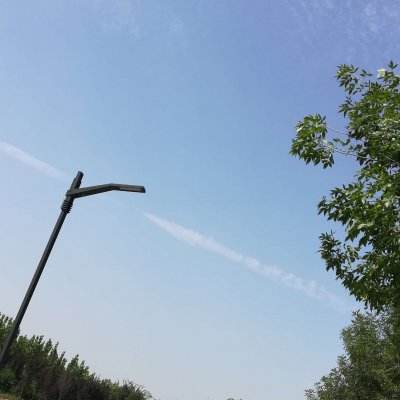 遗失的大陆官方下载