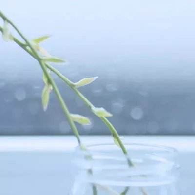 素人大改造最新版下载